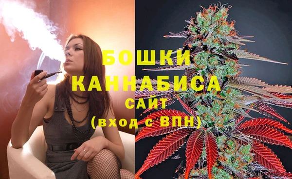 ГАЛЛЮЦИНОГЕННЫЕ ГРИБЫ Алексин